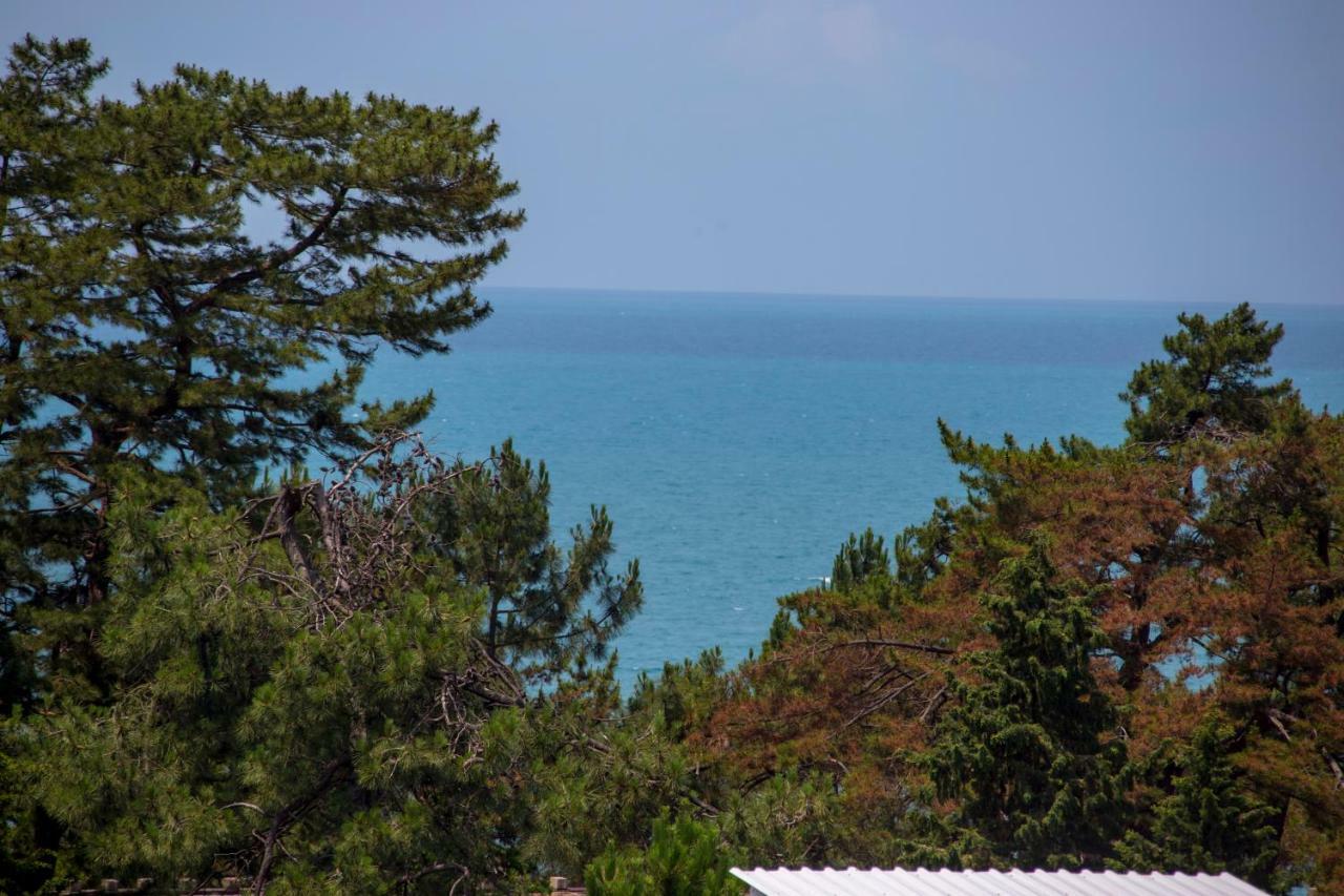 Chveni Ezo Boutique Hotel Kobuleti Bagian luar foto